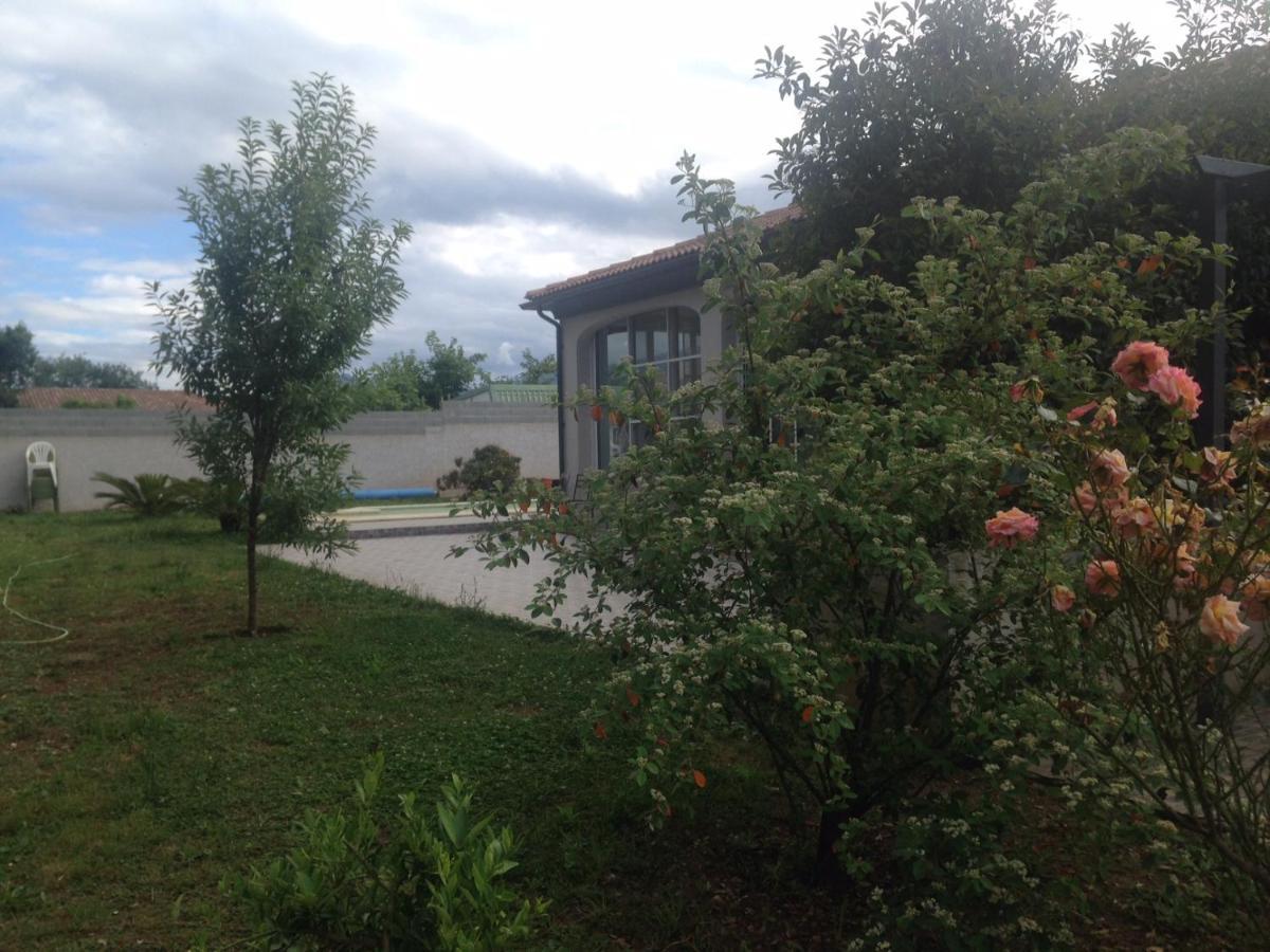 Cavone 2 Lägenhet Castellare-di-Casinca Exteriör bild
